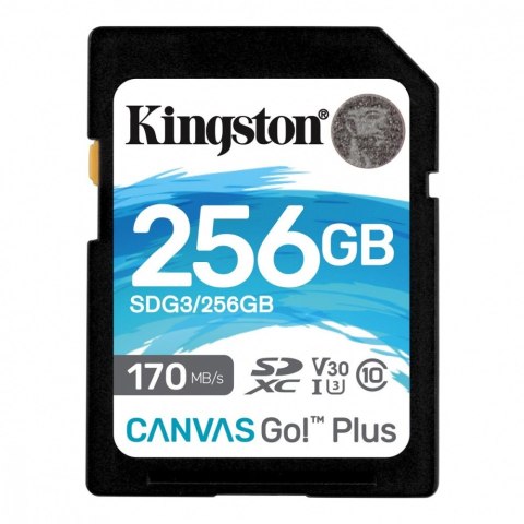 Karta pamięci SD 256GB Canvas Go Plus 170/90MB/s CL10 U3 V30 Karta pamięci SD 256GB Canvas Go Plus 170/90MB/s CL10 U3 V30