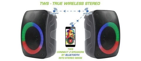 Głośnik Bluetooth STAGE 300