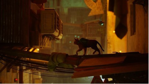 Gra PlayStation 4 Stray Gra PlayStation 4 Stray