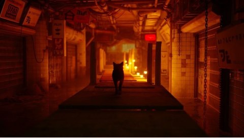 Gra PlayStation 4 Stray Gra PlayStation 4 Stray