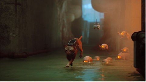 Gra PlayStation 4 Stray Gra PlayStation 4 Stray