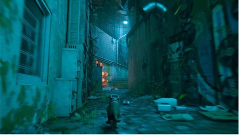 Gra PlayStation 4 Stray Gra PlayStation 4 Stray