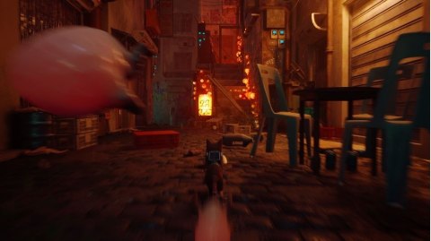 Gra PlayStation 4 Stray Gra PlayStation 4 Stray