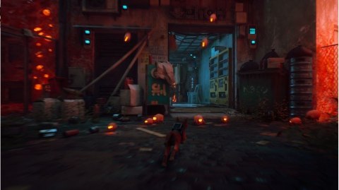 Gra PlayStation 4 Stray Gra PlayStation 4 Stray