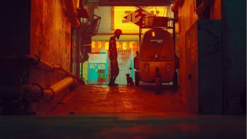 Gra PlayStation 4 Stray Gra PlayStation 4 Stray