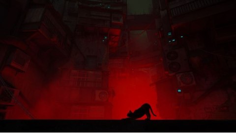 Gra PlayStation 4 Stray Gra PlayStation 4 Stray