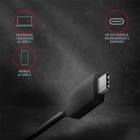 RVC-DP Konwerter/adapter USB-C -> DisplayPort, 4K/60Hz RVC-DP Konwerter/adapter USB-C -> DisplayPort, 4K/60Hz
