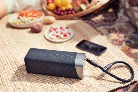 Głośnik Bluetooth TAS5505/00 Głośnik Bluetooth TAS5505/00