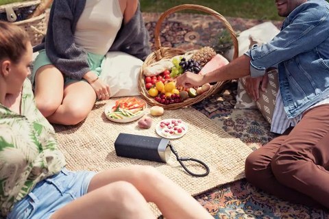 Głośnik Bluetooth TAS5505/00 Głośnik Bluetooth TAS5505/00