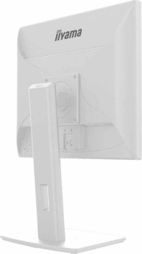 Monitor 19 cali B1980D-W5 DVI,VGA,PIVIOT,HAS/150mm,5:4