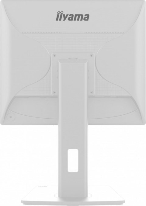 Monitor 19 cali B1980D-W5 DVI,VGA,PIVIOT,HAS/150mm,5:4