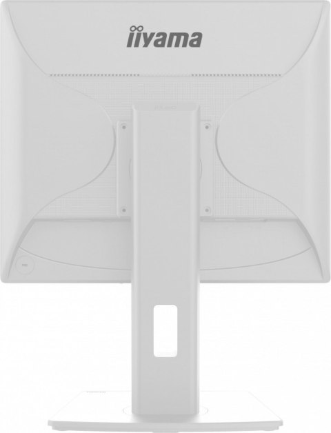 Monitor 19 cali B1980D-W5 DVI,VGA,PIVIOT,HAS/150mm,5:4