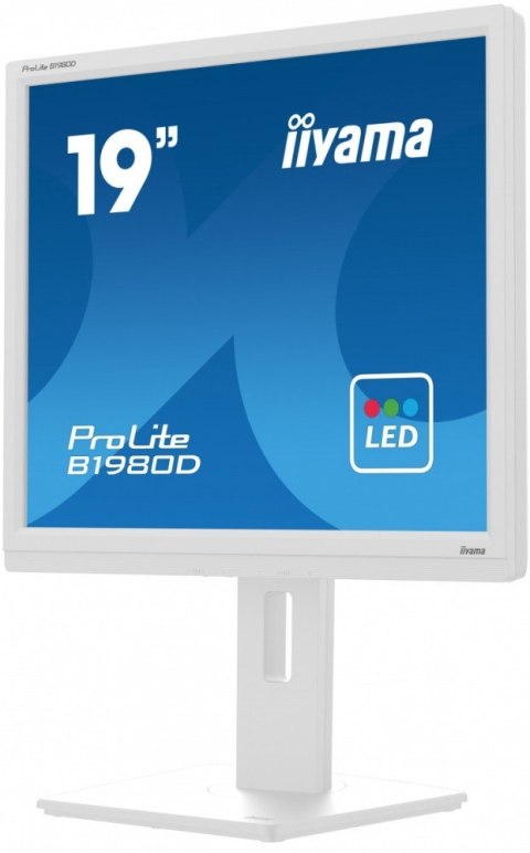 Monitor 19 cali B1980D-W5 DVI,VGA,PIVIOT,HAS/150mm,5:4