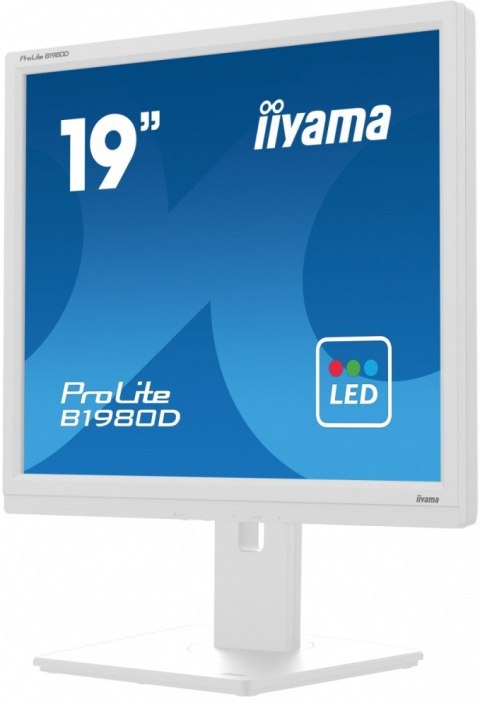 Monitor 19 cali B1980D-W5 DVI,VGA,PIVIOT,HAS/150mm,5:4