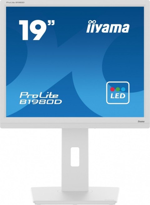 Monitor 19 cali B1980D-W5 DVI,VGA,PIVIOT,HAS/150mm,5:4