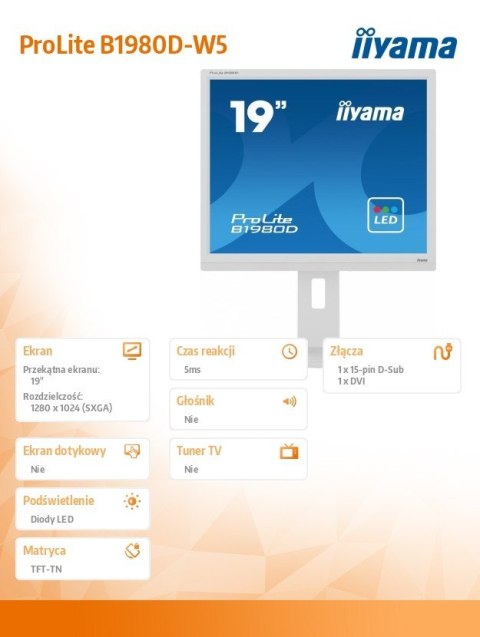 Monitor 19 cali B1980D-W5 DVI,VGA,PIVIOT,HAS/150mm,5:4