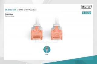 Patch cord U/UTP kat.6 PVC 10m szary