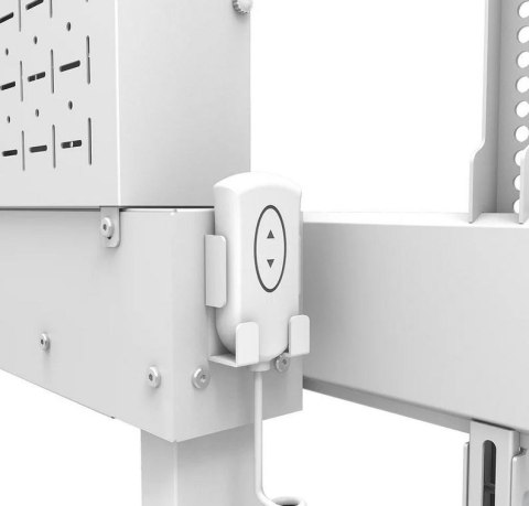 Uchwyt na monitor WL55-875WH1 Uchwyt na monitor WL55-875WH1