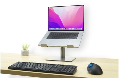 Uniwersalna podstawka do laptopa Uniwersalna podstawka do laptopa