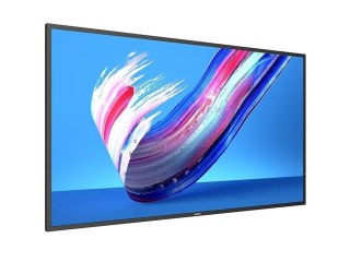 Monitor 65BDL3650Q 65 cali Public Display