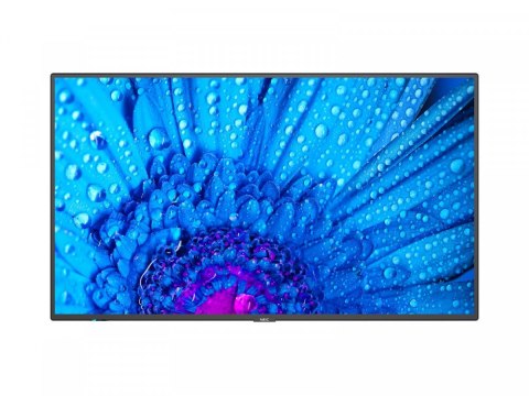 Monitor wielkoformatowy MultiSync M981 98 cali UHD 500cd/m2 24/7 Monitor wielkoformatowy MultiSync M981 98 cali UHD 500cd/m2 24/7