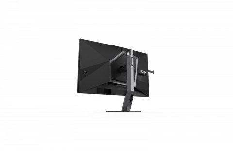 Monitor AG256FS 24.5 cala 390Hz Fast IPS HDMIx2 DP Pivot