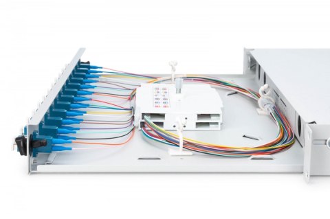 Przełącznica światłowodowa/panel krosowy z wyposażeniem 19 cali 1U, 12x LC duplex, OS2, zawiera pigtaile, adaptery, tacki, wysuw