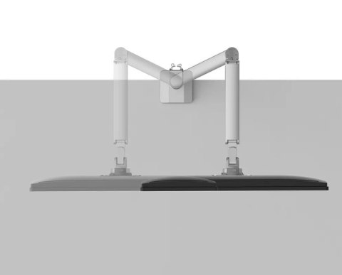 Ramię do monitora DS70-250SL1 NEXT Slim