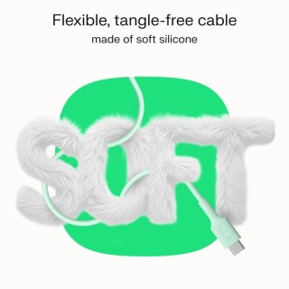 Kabel USB-C-USB-C PowerFlex 100W silikonowy 2m czarny