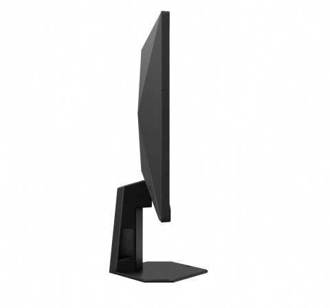 Monitor 25G4SRE 24.5 cala Fast IPS 300Hz HDMIx2 DP Monitor 25G4SRE 24.5 cala Fast IPS 300Hz HDMIx2 DP
