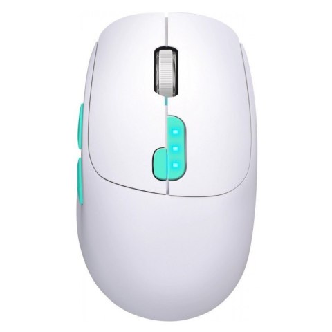Mysz bezprzewodowa NITTA MM-307 RF+BT 1600DPI 6P biała