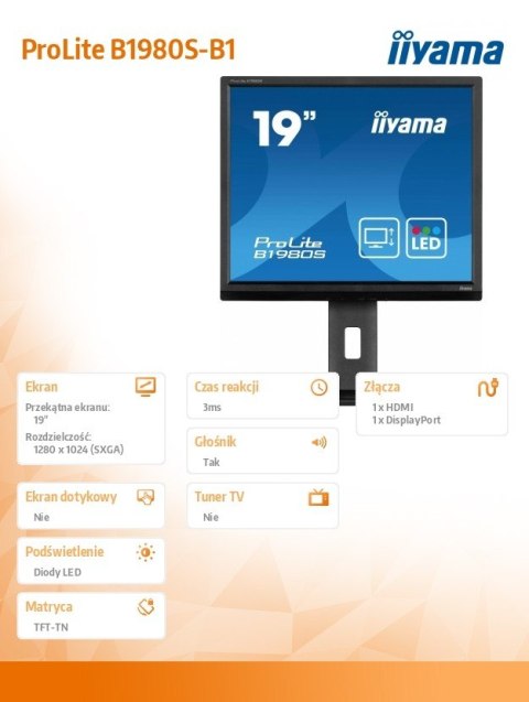 Monitor 19 cali B1980S-B1 HDMI,DP.PIVIOT,HAS/150mm