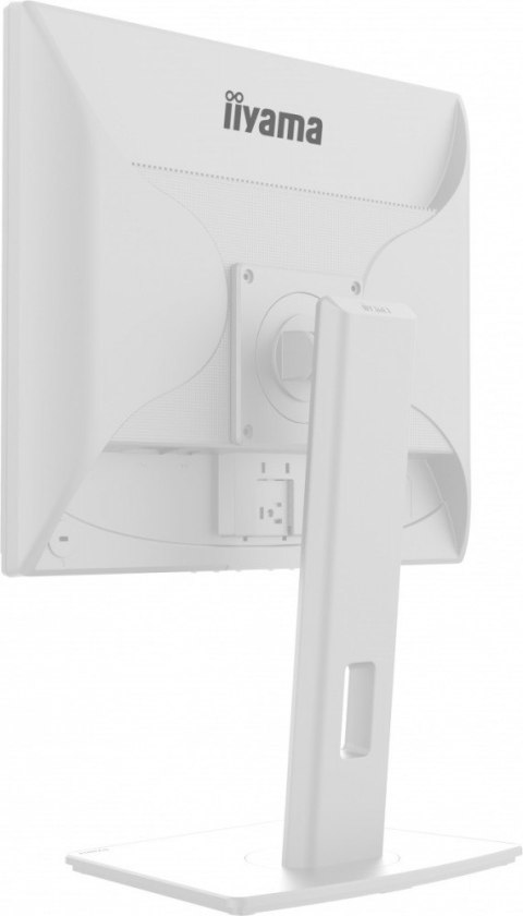 Monitor 19 cali B1980S-W1 HDMI,DP.PIVIOT,HAS/150mm