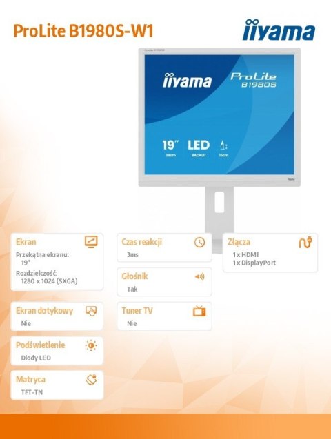 Monitor 19 cali B1980S-W1 HDMI,DP.PIVIOT,HAS/150mm