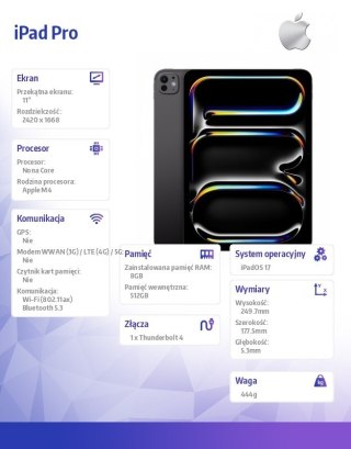 IPad Pro 11 cali Wi-Fi 512GB - Gwiezdna czerń