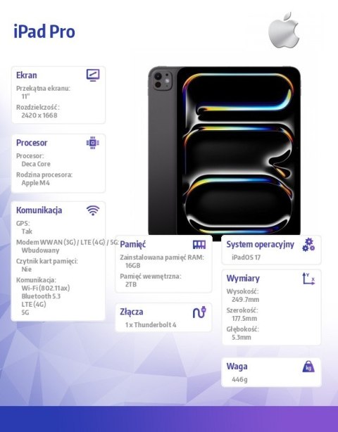 IPad Pro 11 cali Wi-Fi + Cellular 2TB - Gwiezdna czerń