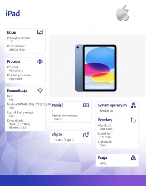 IPad WiFi 11 cali 256GB Niebieski