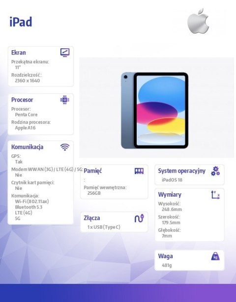 IPad WiFi + Cellular 11 cali 256 GB Niebieski