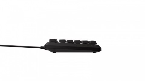 Klawiatura K55 Core TKL Backlit Zoned RGB LED