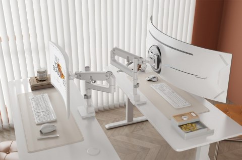 Ramię biurkowe pojedyncze z zaciskiem i sprężyną gazową 1x LCD max. 57" 27kg, VESA: 75x75, 100x100, białe