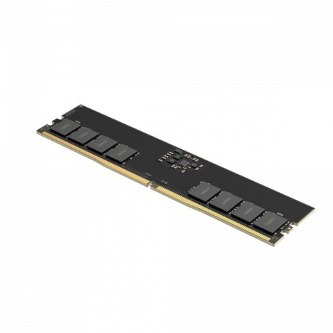 Pamięć DDR5 32GB(1*32GB)/5600 CL46