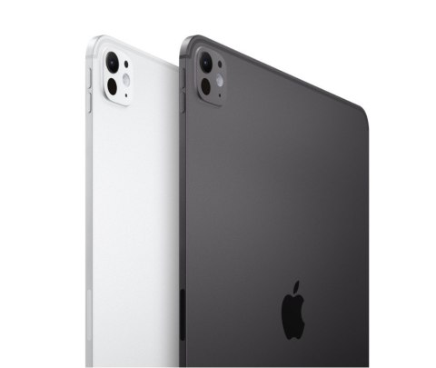 IPad Pro 11-calowy Wi-Fi + Cellular 2 TB ze szkłem standardowym - Gwiezdna czerń