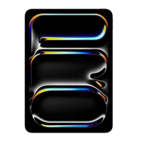 IPad Pro 13-calowy Wi-Fi + Cellular 256 GB ze standardowym szkłem - Gwiezdna czerń