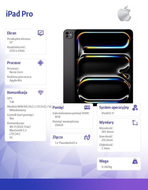 IPad Pro 13 cali Wi-Fi + Cellular 256GB - Gwiezdna czerń