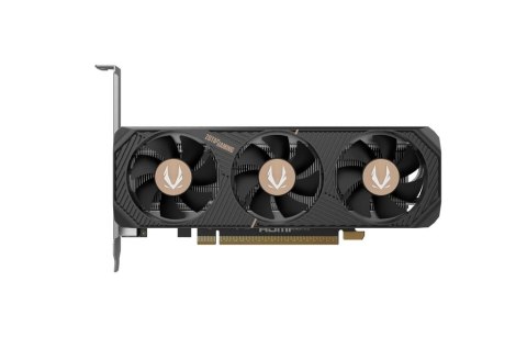 Karta graficzna GeForce RTX 5050 LP 8GB GDDR6 128bit 2DP/HDMI