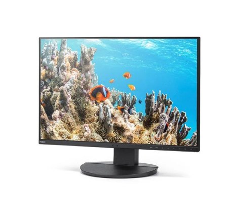 Monitor MultiSync DD-EA242W 24.1 cala czarny