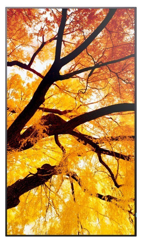 Monitor wielkoformatowy MultiSync M502 50 cali 550cd/m2 24/7