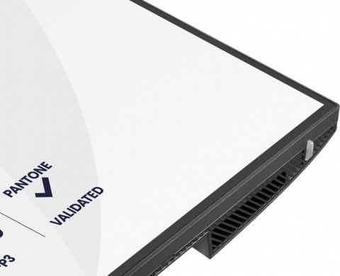 Monitor 31.5 cala ProGraphic HB3201UHSNP-B1 4K,IPS BLACK 2.0,450cd,VESA USB-c dock(PD:96W),HDMI,DP,DAISY/CHAIN,4xUSB,RJ45,3000:1