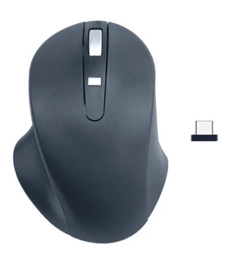Mysz bezprzewodowa - Wireless USB-C Pro Mouse Black