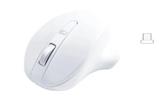 Mysz bezprzewodowa - Wireless USB-C Pro Mouse White